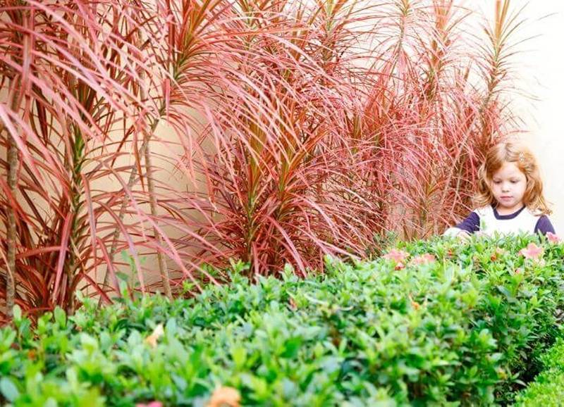 Imagem das estruturas do colegio